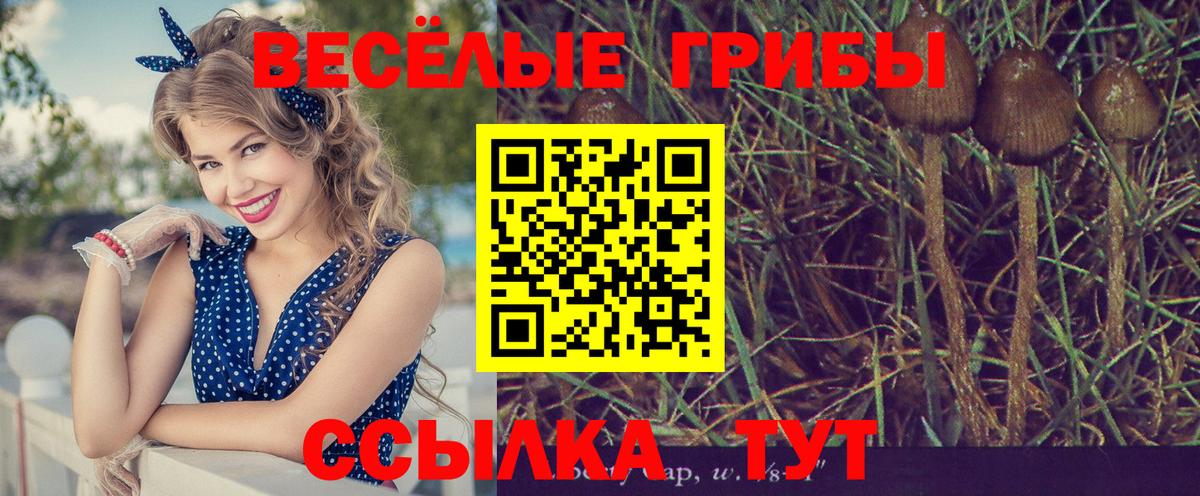 Галлюциногенные грибы Magic Shrooms  Вход с VPN  Химки 