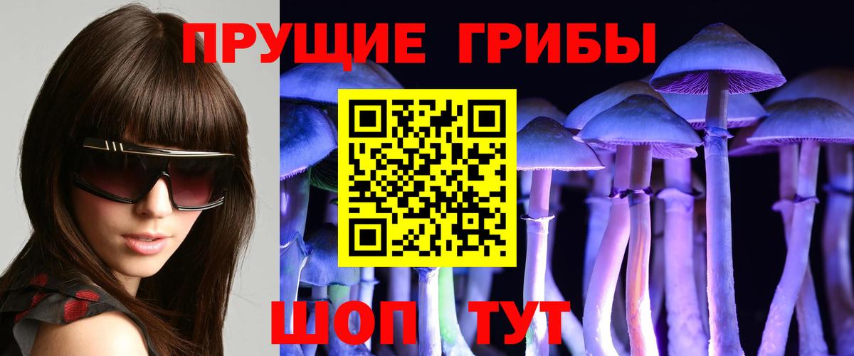 Псилоцибиновые грибы Magic Shrooms Химки