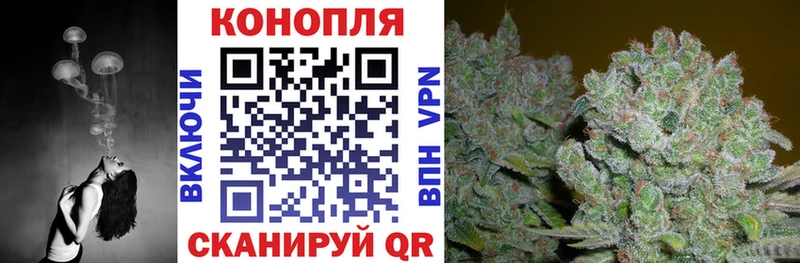 Конопля White Widow  Химки 
